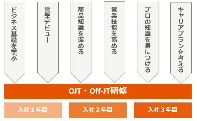 新入社員教育体制